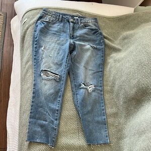 Time and Tru High Rise Ankle Jeans